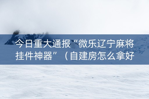 今日重大通报“微乐辽宁麻将挂件神器”（自建房怎么拿好牌)