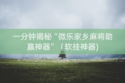一分钟揭秘“微乐家乡麻将助赢神器”（软挂神器)