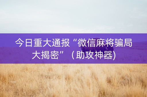 今日重大通报“微信麻将骗局大揭密”（助攻神器)