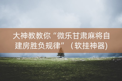大神教教你“微乐甘肃麻将自建房胜负规律”（软挂神器)