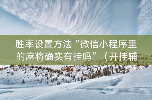 胜率设置方法“微信小程序里的麻将确实有挂吗”（开挂辅助器插件)