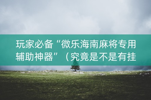 玩家必备“微乐海南麻将专用辅助神器”（究竟是不是有挂)