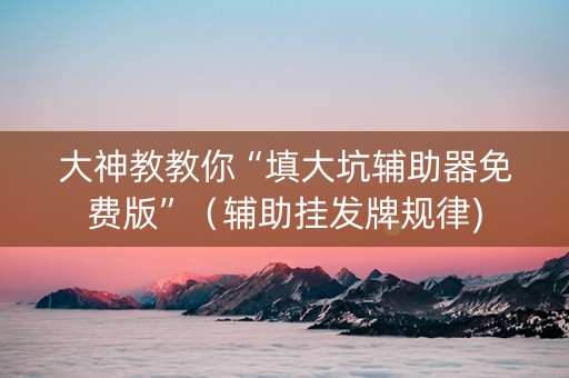 大神教教你“填大坑辅助器免费版”（辅助挂发牌规律)