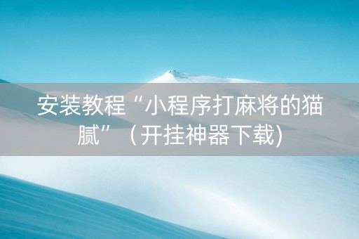 安装教程“小程序打麻将的猫腻”（开挂神器下载)