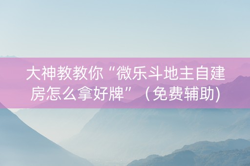 大神教教你“微乐斗地主自建房怎么拿好牌”（免费辅助)