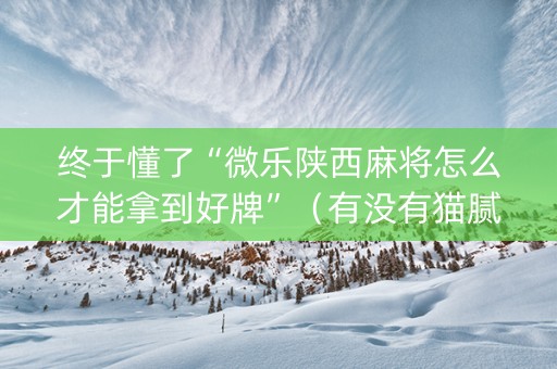 终于懂了“微乐陕西麻将怎么才能拿到好牌”（有没有猫腻)