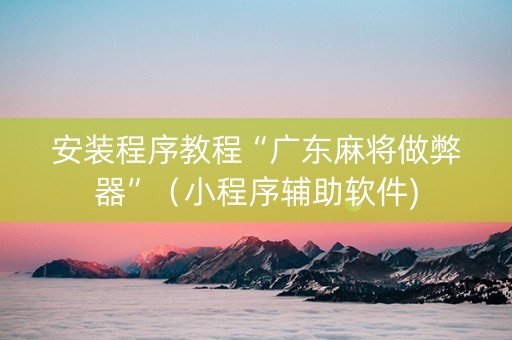 安装程序教程“广东麻将做弊器”（小程序辅助软件)