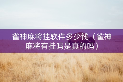 雀神麻将挂软件多少钱（雀神麻将有挂吗是真的吗）