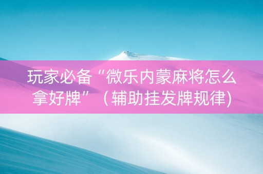 玩家必备“微乐内蒙麻将怎么拿好牌”（辅助挂发牌规律)
