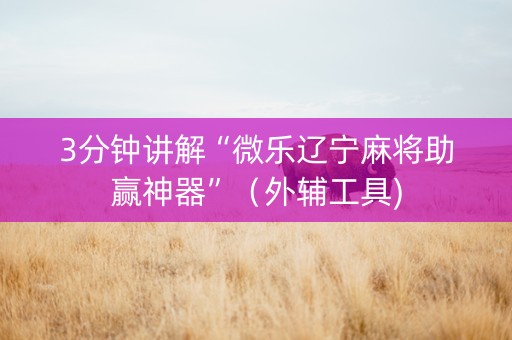 3分钟讲解“微乐辽宁麻将助赢神器”（外辅工具)