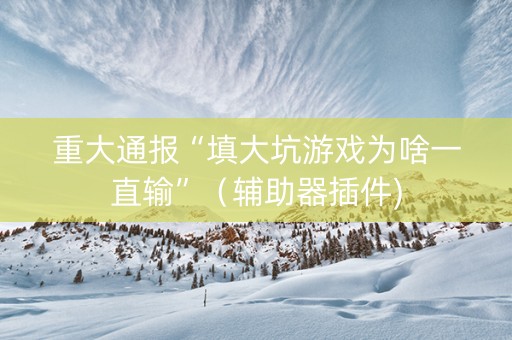 重大通报“填大坑游戏为啥一直输”（辅助器插件)