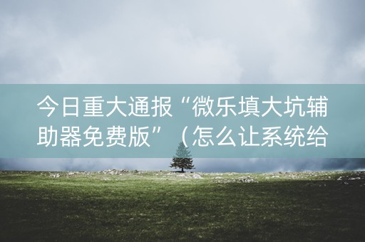 今日重大通报“微乐填大坑辅助器免费版”（怎么让系统给你发好牌)