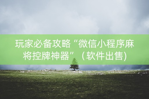 玩家必备攻略“微信小程序麻将控牌神器”（软件出售)