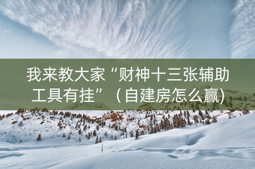 我来教大家“财神十三张辅助工具有挂”（自建房怎么赢)