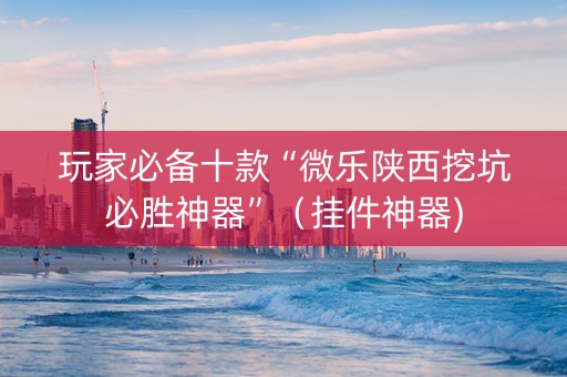 玩家必备十款“微乐陕西挖坑必胜神器”（挂件神器)