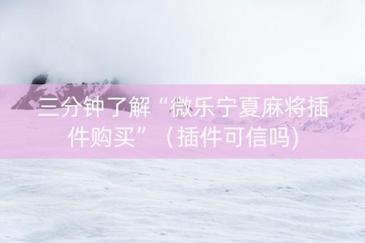 三分钟了解“微乐宁夏麻将插件购买”（插件可信吗)