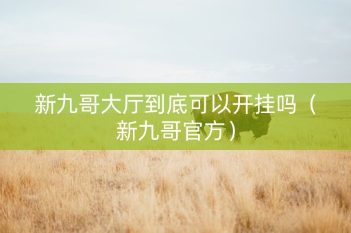 新九哥大厅到底可以开挂吗（新九哥官方）
