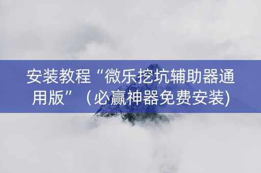 安装教程“微乐挖坑辅助器通用版”（必赢神器免费安装)