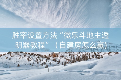 胜率设置方法“微乐斗地主透明器教程”（自建房怎么赢)