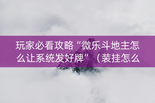 玩家必看攻略“微乐斗地主怎么让系统发好牌”（装挂怎么安装)