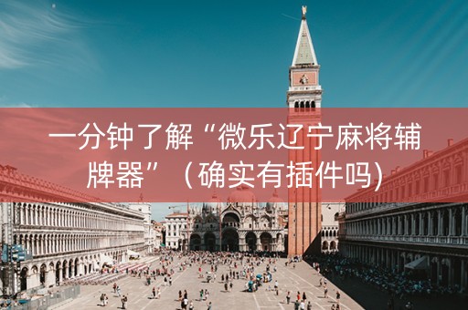 一分钟了解“微乐辽宁麻将辅牌器”（确实有插件吗)