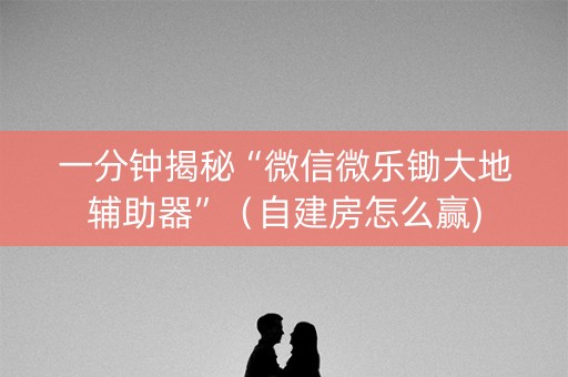 一分钟揭秘“微信微乐锄大地辅助器”（自建房怎么赢)