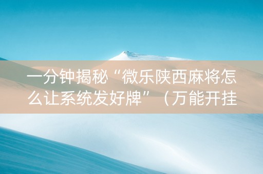 一分钟揭秘“微乐陕西麻将怎么让系统发好牌”（万能开挂器)