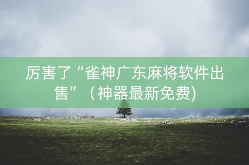 厉害了“雀神广东麻将软件出售”（神器最新免费)