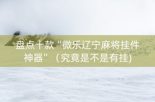 盘点十款“微乐辽宁麻将挂件神器”（究竟是不是有挂)