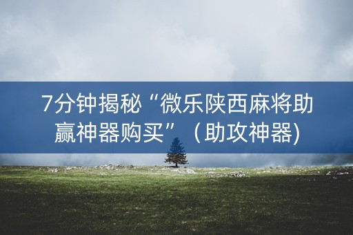 7分钟揭秘“微乐陕西麻将助赢神器购买”（助攻神器)
