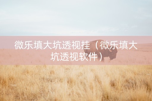 微乐填大坑透视挂（微乐填大坑透视软件）