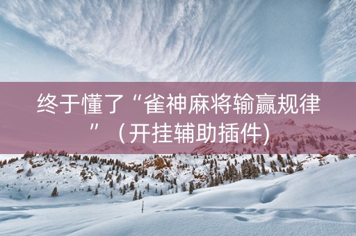 终于懂了“雀神麻将输赢规律”（开挂辅助插件)