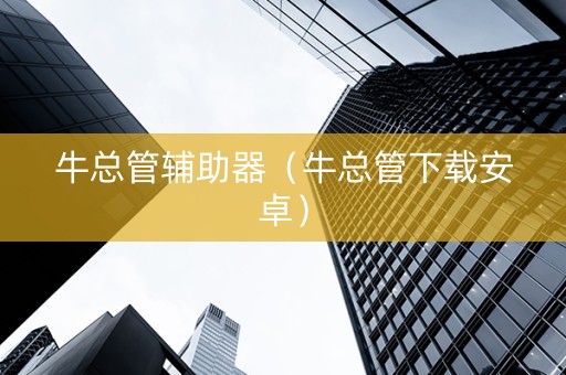 牛总管辅助器（牛总管下载安卓）