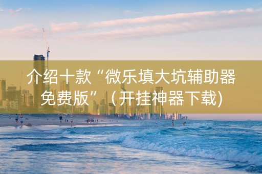介绍十款“微乐填大坑辅助器免费版”（开挂神器下载)