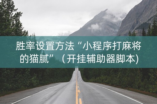 胜率设置方法“小程序打麻将的猫腻”（开挂辅助器脚本)