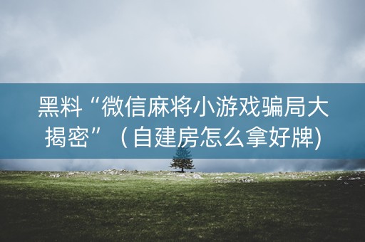 黑料“微信麻将小游戏骗局大揭密”（自建房怎么拿好牌)