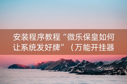 安装程序教程“微乐保皇如何让系统发好牌”（万能开挂器)