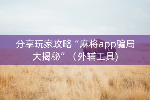 分享玩家攻略“麻将app骗局大揭秘”（外辅工具)
