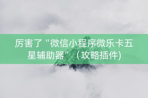厉害了“微信小程序微乐卡五星辅助器”（攻略插件)