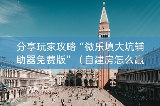 分享玩家攻略“微乐填大坑辅助器免费版”（自建房怎么赢)