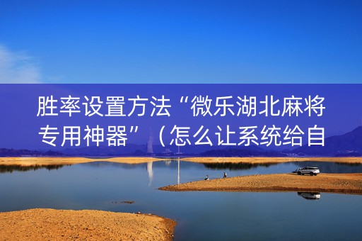 胜率设置方法“微乐湖北麻将专用神器”（怎么让系统给自己好牌)