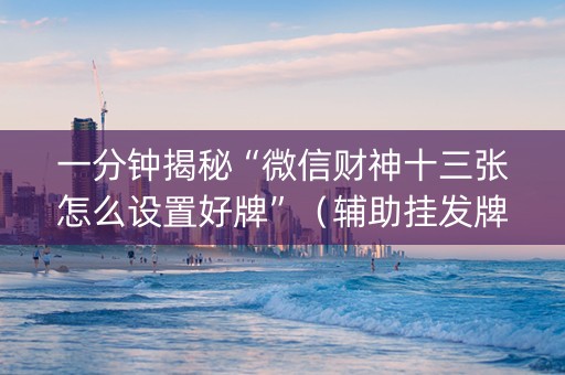 一分钟揭秘“微信财神十三张怎么设置好牌”（辅助挂发牌规律)