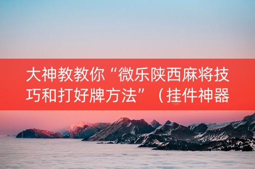 大神教教你“微乐陕西麻将技巧和打好牌方法”（挂件神器)