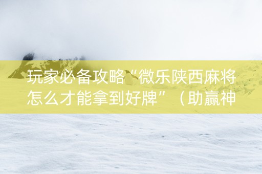 玩家必备攻略“微乐陕西麻将怎么才能拿到好牌”（助赢神器购买)