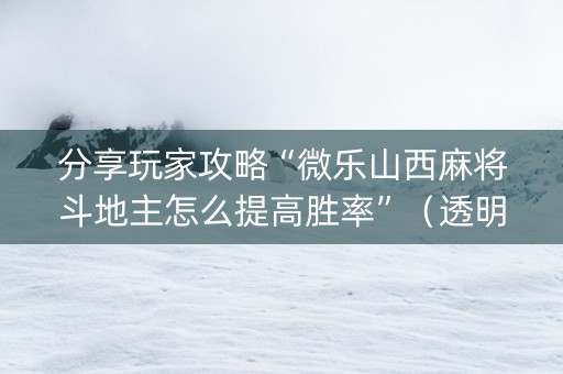分享玩家攻略“微乐山西麻将斗地主怎么提高胜率”（透明挂辅助器)