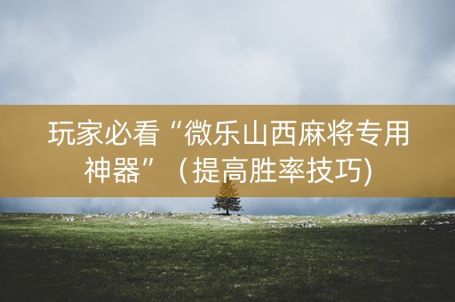 玩家必看“微乐山西麻将专用神器”（提高胜率技巧)