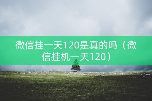 微信挂一天120是真的吗（微信挂机一天120）