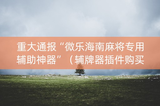 重大通报“微乐海南麻将专用辅助神器”（辅牌器插件购买)