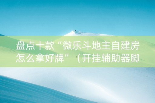 盘点十款“微乐斗地主自建房怎么拿好牌”（开挂辅助器脚本)