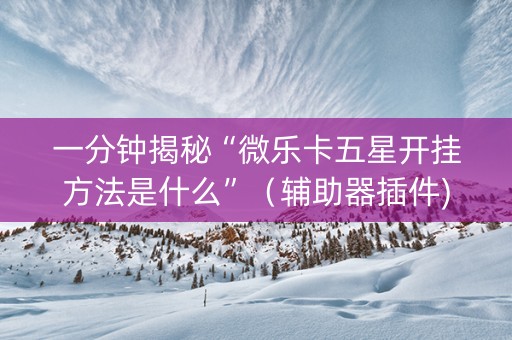 一分钟揭秘“微乐卡五星开挂方法是什么”（辅助器插件)